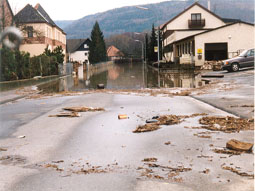 Foto des Hochwassers 1995