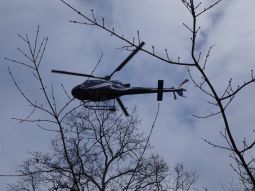Foto des Helikopters
