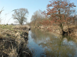 Foto des Gewässers vor der Baumaßnahme