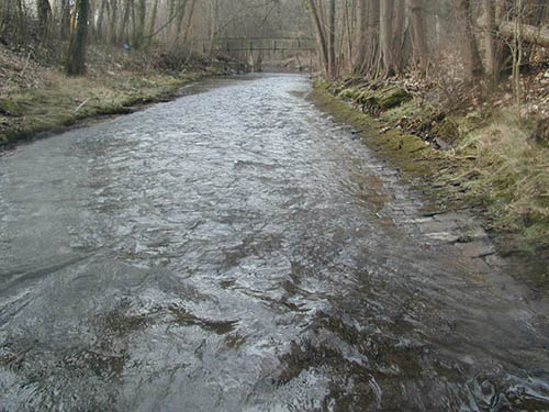 Foto mit erkennbar gepflasterter Sohle im Billbach