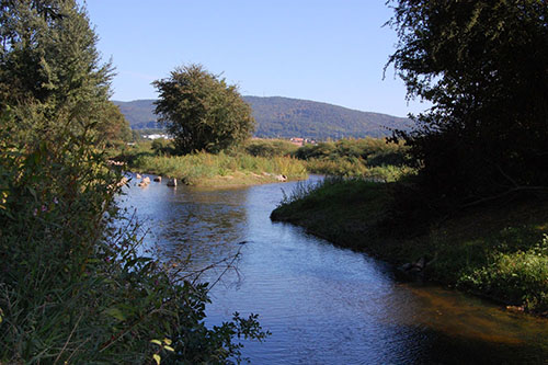 Foto des umgebauten Gewässers