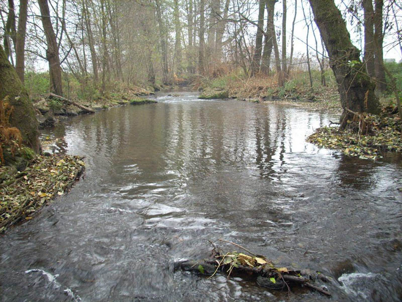 Foto der Elsava mit Auwald Foto der Elsava mit Auwald
