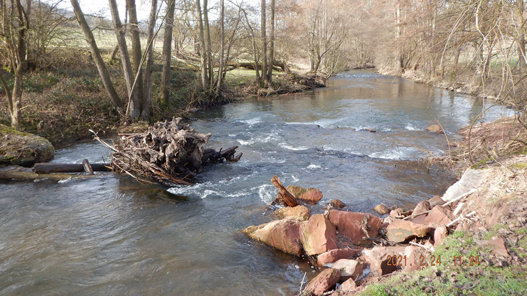 Foto des Flusses mit Innenufer und Auwald Foto des Flusses mit Innenufer und Auwald