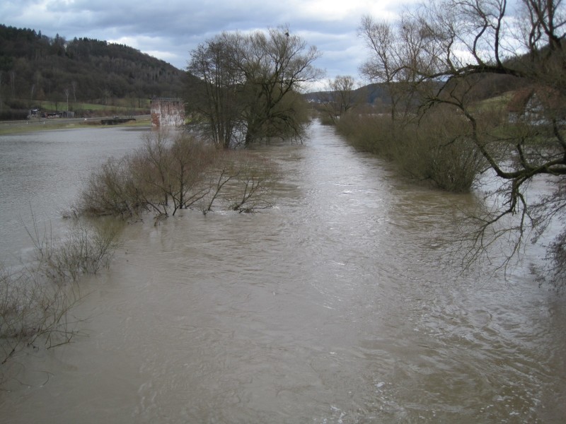Foto des Flusses mit Innenufer und Auwald