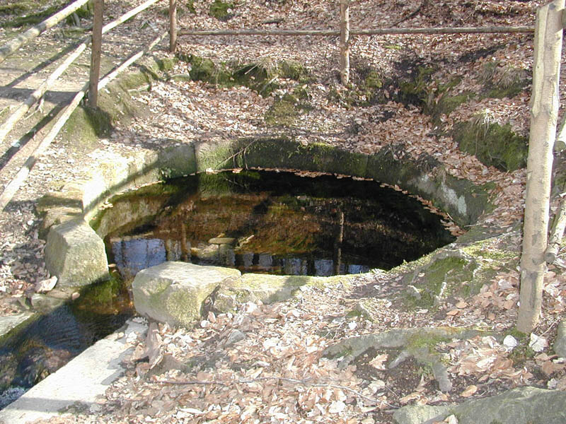 Foto des gefassten Quelltopfes Foto des gefassten Quelltopfes