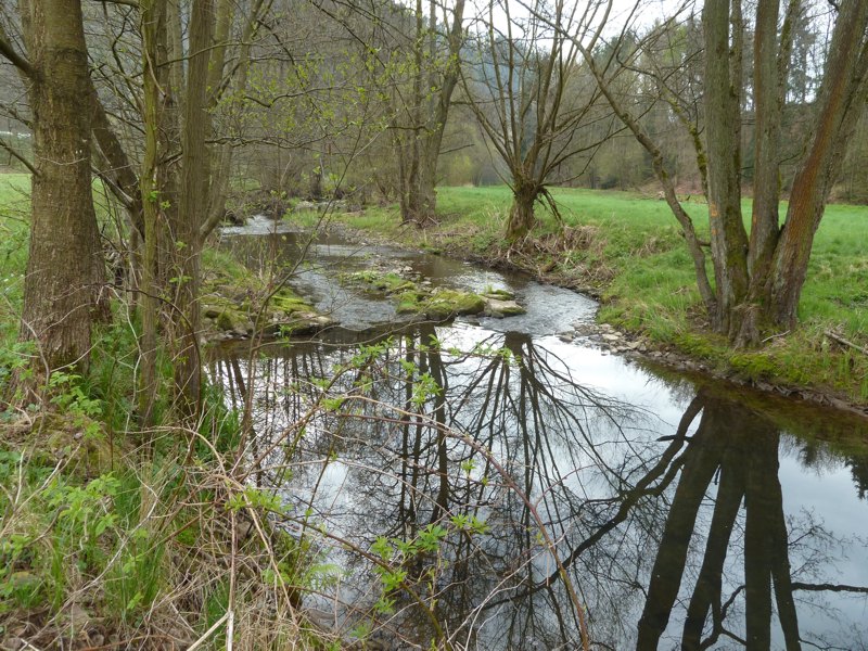 Foto der Lohr Foto der Lohr