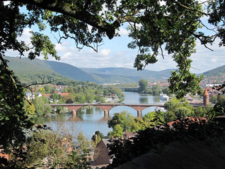Foto des Mains in Miltenberg