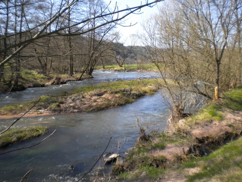 Foto der Sinn