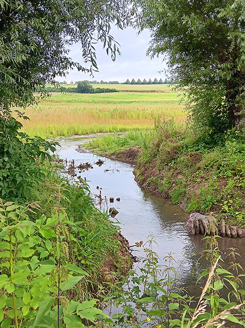 Foto des neuen Gewässerverlaufs