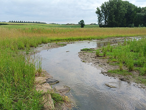 Foto des neuen Gewässerverlaufs