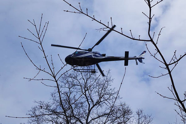Foto des Helikopters 