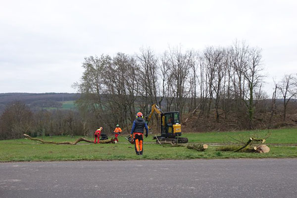 Foto beim Aufbereiten des Holzes per Hand
