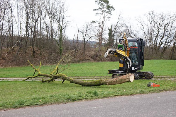 Foto beim Aufbereiten des Holzes mit schwerem Gerät