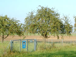 Foto einer Streuobstwiese mit Wasserschutzgebietsschild